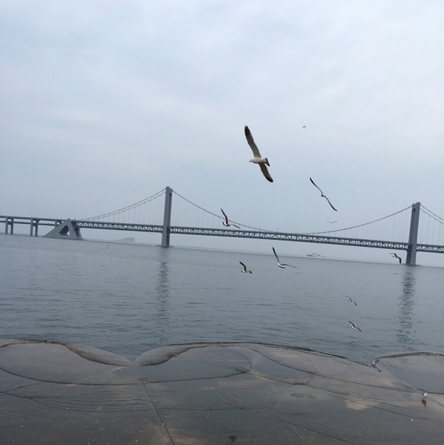 Salz的阳光依旧